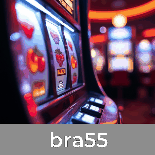 Acesso ao bra55